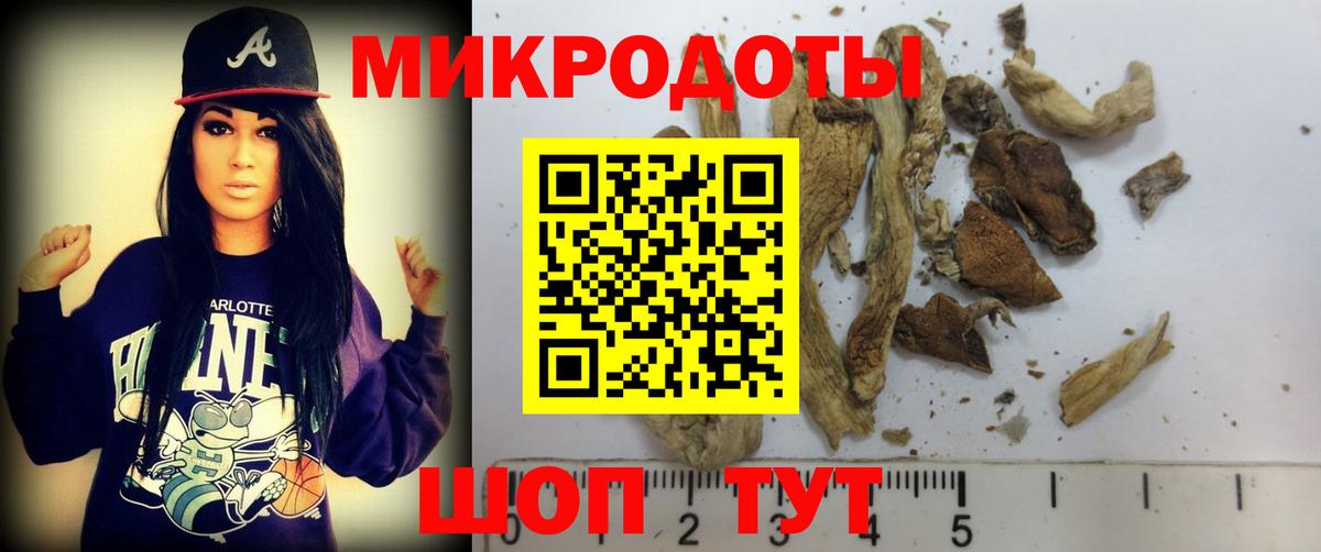Сосновоборск  Псилоцибиновые грибы прущие грибы  закладка  Вход с VPN 